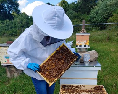SVSF_Bees7