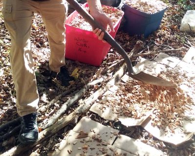 Spreading wood chips on first layer